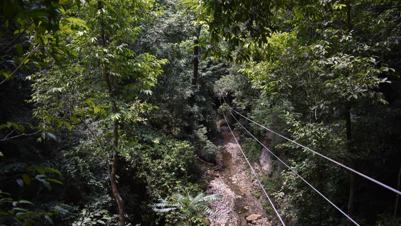 Puerto Plata: Waterfalls, Zip Line Adventure and Horse Ride — Guided tour and outdoor activity