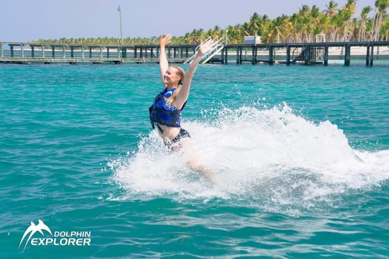 Swim with Dolphins in Punta Cana — Guided tour and outdoor activity
