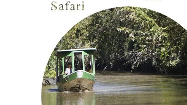 Nationalpark Palo Verde: Wildtier-Bootstour — Guided tour and outdoor activity