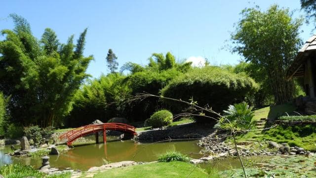 Cartago: Eine einzigartige Auswahl an Cartago-Wundern — Guided tour and outdoor activity