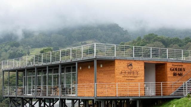 Wine Tour and Golden Rush — Guided tour and outdoor activity