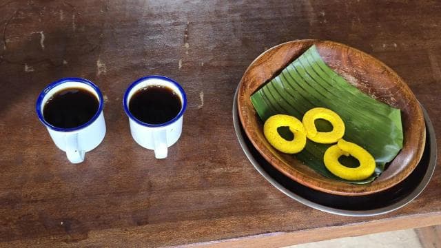 Río Celeste, Sloths, Coffee, Chocolate and Sugarcain — Guided tour and outdoor activity