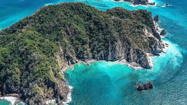 From Playa Pochote: Tortuga Island Private Tour — Guided tour and outdoor activity