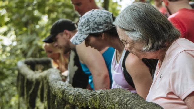 Fortuna Arenal : Tropical Rainforest Arenal Hanging Bridges — Guided tour and outdoor activity