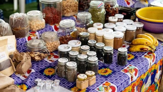 Costa Rica: Farmers Market Tour with a Local — Guided tour and outdoor activity