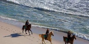 Puerto Plata: 2-stündiger Ausritt am Strand — Guided tour and outdoor activity