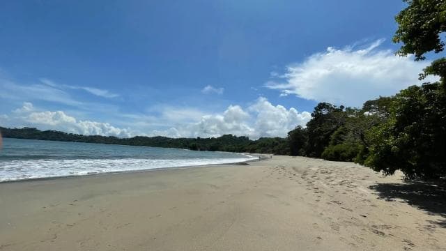 Manuel Antonio National Park: Animal watching hike — Guided tour and outdoor activity