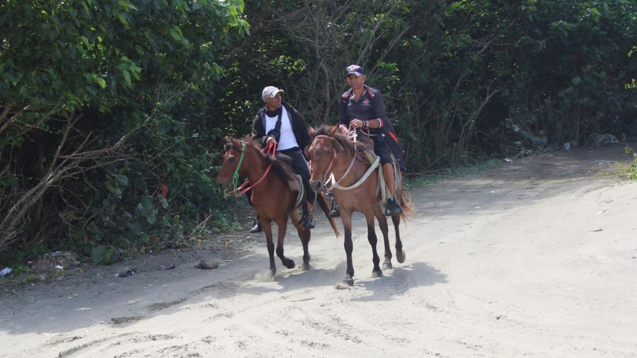 Beach horse back riding and countryside (Copy) — Guided tour and outdoor activity