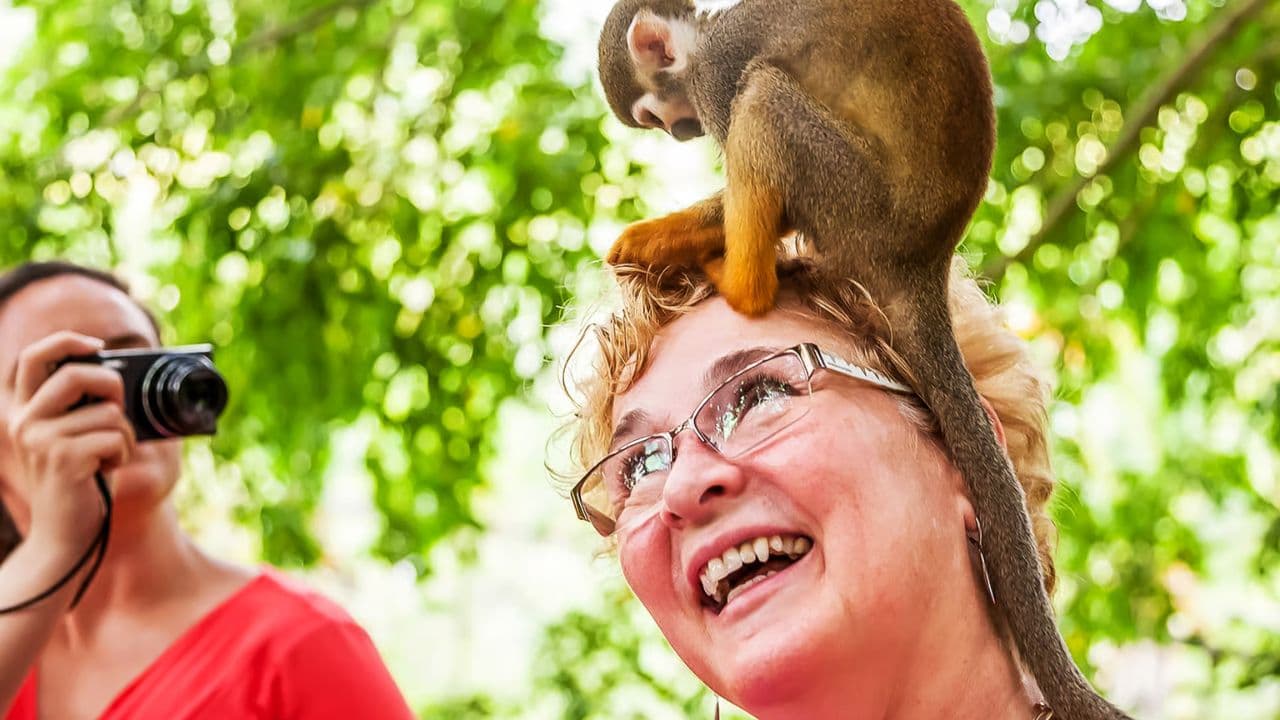 Punta Cana: Half-day tour Monkey Land Safari Tour — Guided tour and outdoor activity