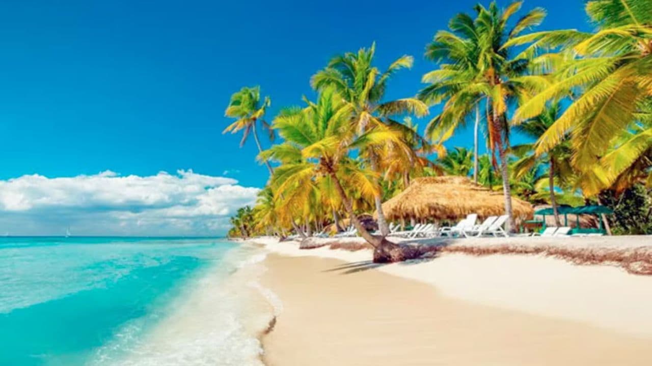 Saona Island From Punta Cana Dominican Republic Book Now — Guided tour and outdoor activity