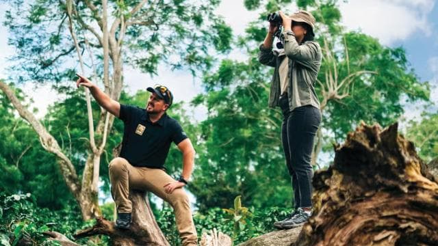 Doka Hiking Trail — Guided tour and outdoor activity