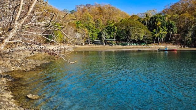 Bioluminescence Tour; Speedboat, Camping (From San José) — Guided tour and outdoor activity