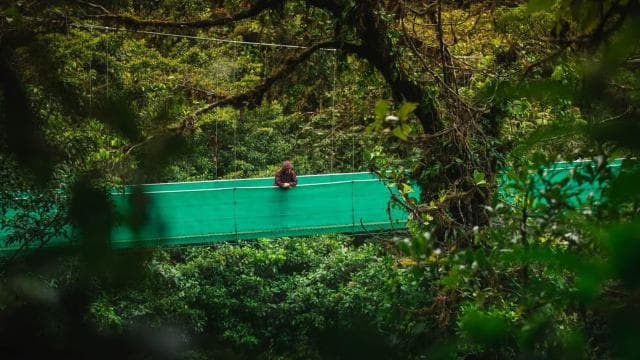 From Monteverde: Monteverde Suspension Bridge Guided Hike — Guided tour and outdoor activity
