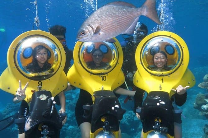 Bayahibe: PADI Open Water Course — Guided tour and outdoor activity
