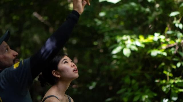 From San José: Carara National Park and Tárcoles River Tour — Guided tour and outdoor activity