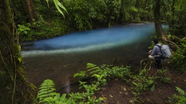 Ticket to Rio Celeste Waterfall & Tenorio National Park — Guided tour and outdoor activity