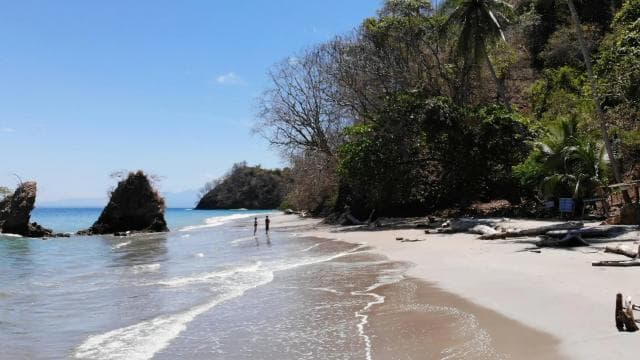 Paquera: Isla Tortuga Snorkeling tour — Guided tour and outdoor activity