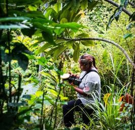 Punta Cana: Anamuya Mountains Guided Walking Tour — Guided tour and outdoor activity