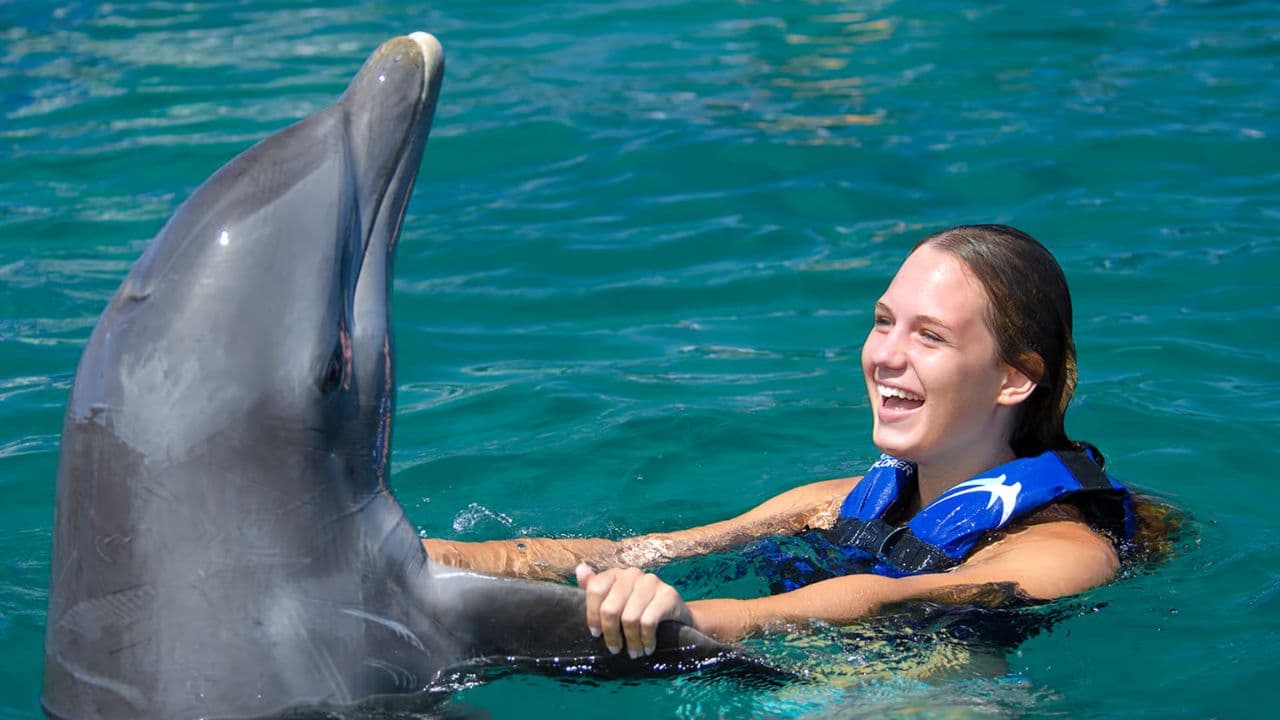 Delfinschwimmen in Punta Cana – Beste 60-minütige Delfinentdeckung — Guided tour and outdoor activity