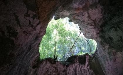 Národní park Los Haitises: Lodní a pěší výlet s obědem — Guided tour and outdoor activity