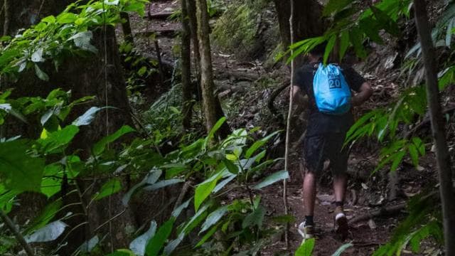 Jaco Beach: 10 Hidden Waterfalls Guided Experience — Guided tour and outdoor activity
