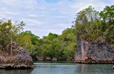 Adventure from Miches: Los Haitises, Caño Hondo, and Yanigua — Guided tour and outdoor activity