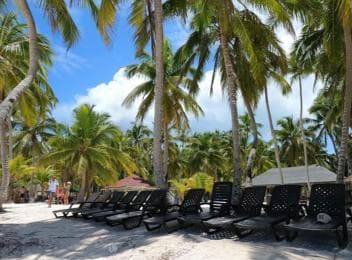 Juan Dolio: Saona Island Day Trip with Lunch & Open Bar — Guided tour and outdoor activity
