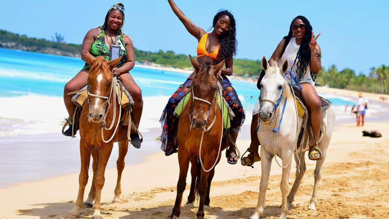 Punta Cana: Horseback Riding On The Beach With Pickup — Guided tour and outdoor activity