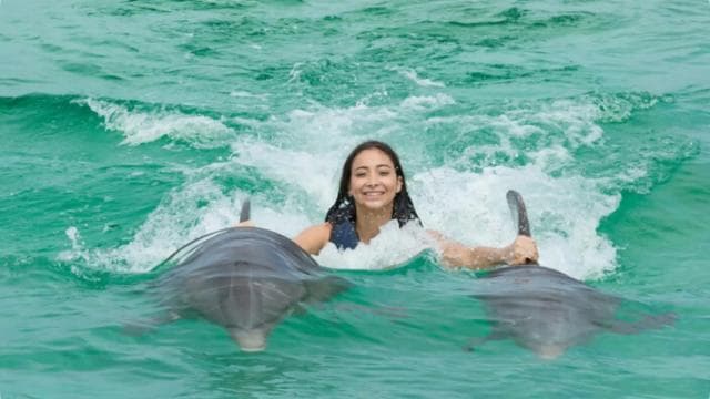 Punta Cana: Dolphin Action Program — Guided tour and outdoor activity
