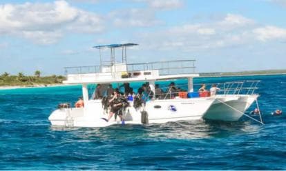 Private: Catalina Island Diving Tour with Lunch — Guided tour and outdoor activity
