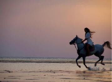 Makadi Bay: Horse Riding in Desert & Sea w Guide + Transfers — Guided tour and outdoor activity