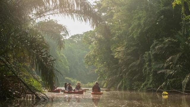 Guided Kayak Tour in Tortuguero National Park ***EXCITING** — Guided tour and outdoor activity