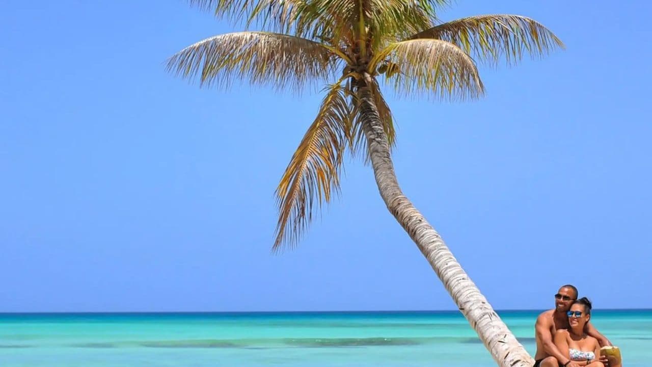 Santo Domingo: Saona Island Catamaran Tour with Lunch & Bar — Guided tour and outdoor activity