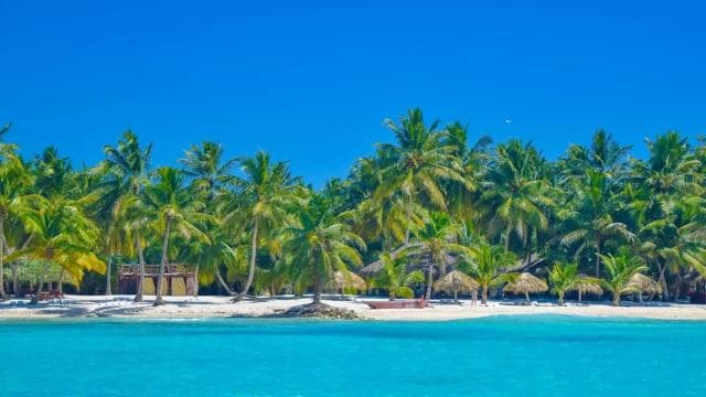 Santo Domingo to Saona: A Tropical Adventure — Guided tour and outdoor activity