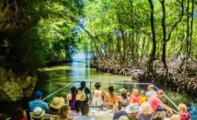 Santo Domingo: Los Haitises & Cayo Levantado Island — Guided tour and outdoor activity