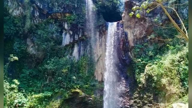 Tamarindo: Zip Line, Horseback Riding & Natural Spa Day Tour — Guided tour and outdoor activity