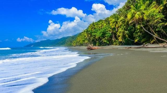 Corcovado National Park: Guided Hiking Tour - Full Day — Guided tour and outdoor activity