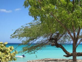 Bahía de las Aguilas: Beach Day Trip by Boat — Guided tour and outdoor activity