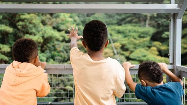 Monteverde: TreeTram Cableway and Cloud Forest Hiking Trail — Guided tour and outdoor activity