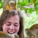 Samaná: Monkeyland and Open-Air Safari Truck Tour — Guided tour and outdoor activity