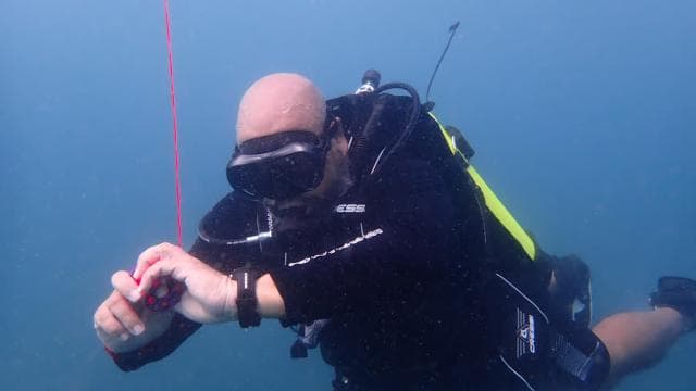 Golfito, Costa Rica: PADI Open Water Diver Certification — Guided tour and outdoor activity