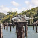 Haitises + Cayo Levantado (Bacardi-Insel) — Guided tour and outdoor activity