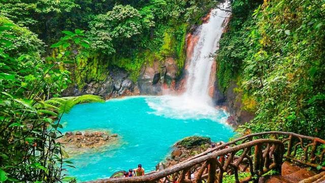 Rio Celeste Waterfall and Sloth Hike with Lunch — Guided tour and outdoor activity
