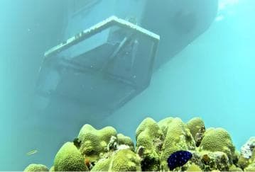 Experience the Exciting Caribbean Underwater World — Guided tour and outdoor activity