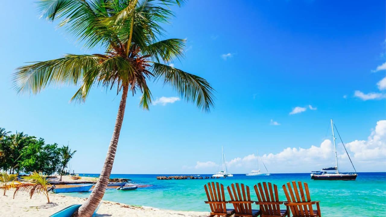Explore Saona Island: Catamaran Tour from Punta Cana — Guided tour and outdoor activity