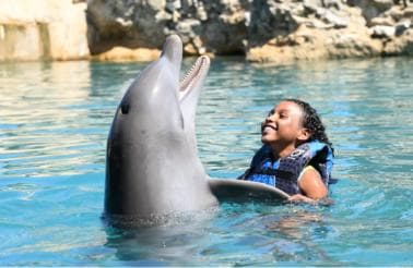 Puerto Plata Ocean World Dolphin Swim — Guided tour and outdoor activity