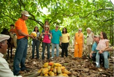 Dominican Republic: 3-Hour Chocolate Lovers Tour — Guided tour and outdoor activity