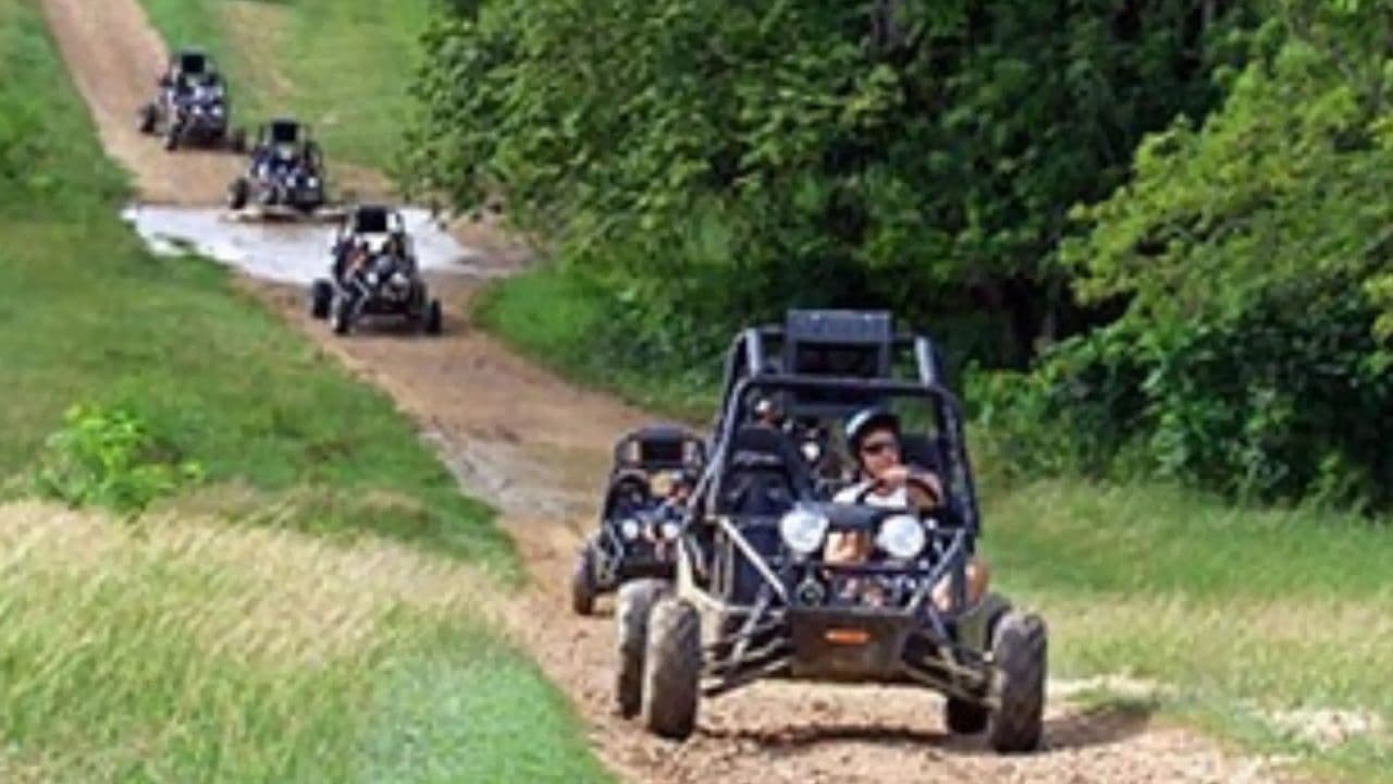 Bayahibe: Buggy Tour with River Chavón and Local Tasting — Guided tour and outdoor activity