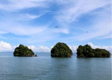 2in1: Los Haitises National Park + Yanigua Waterfall-SPA — Guided tour and outdoor activity