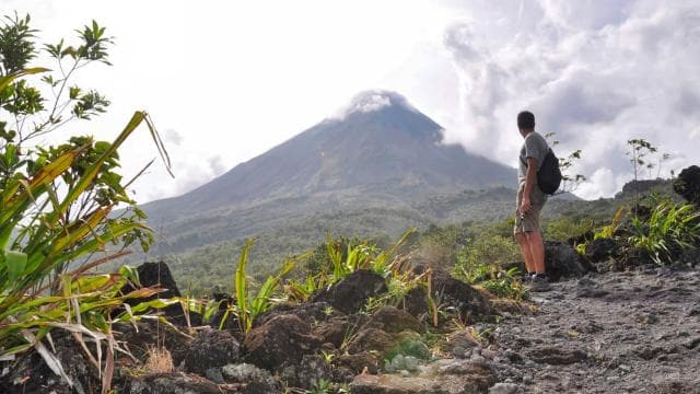 From La Fortuna: Hanging Bridges & Arenal Volcano with Lunch — Guided tour and outdoor activity